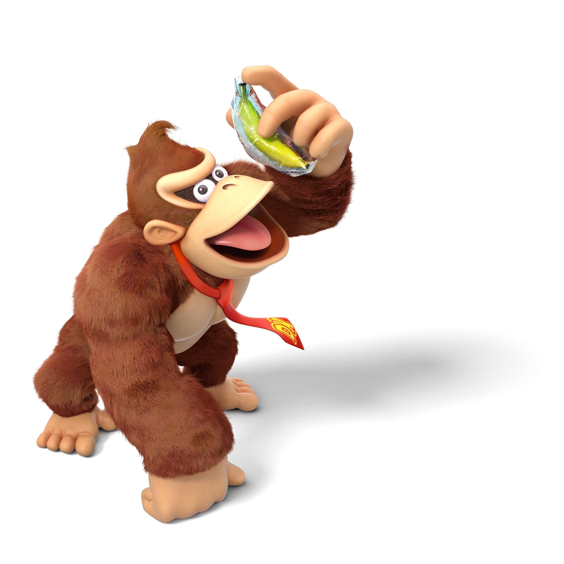Donkey Kong Country: Tropical Freeze